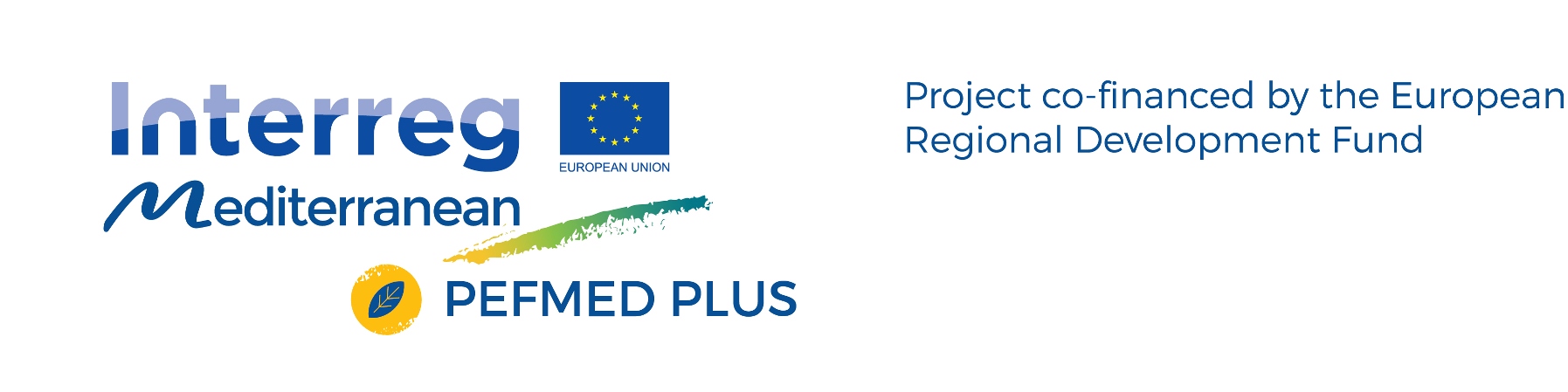 Logo PROGETTO UE PEFMED PLUS